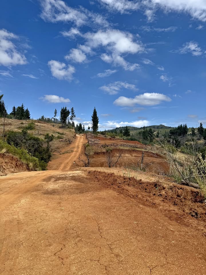 Parcelas en Las Palmas, comuna de Quillón, Región de Ñuble, a solo 5 minutos de Quillón camino a Cerro Negro. Sector Las Palmas, Quillón.